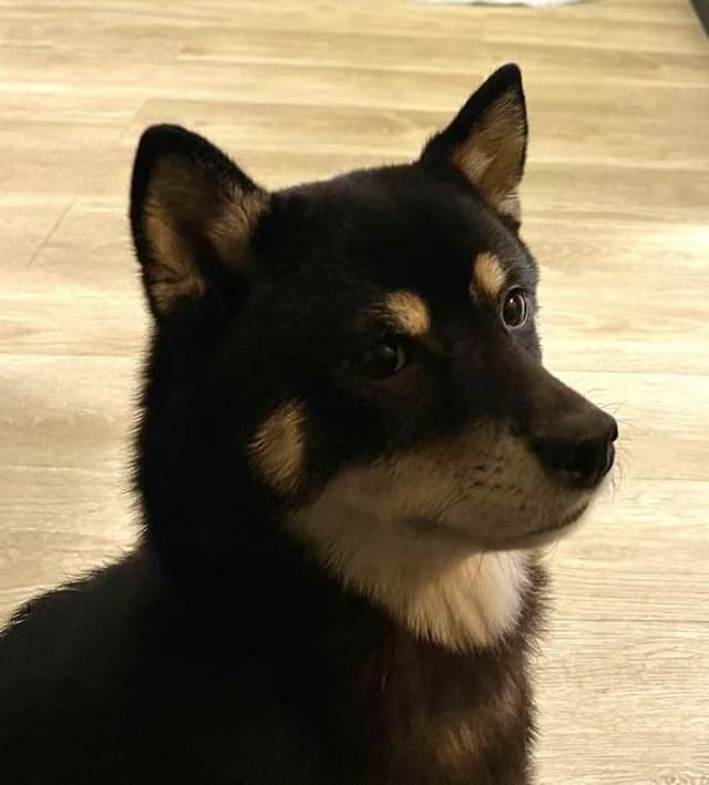 乌巴昆