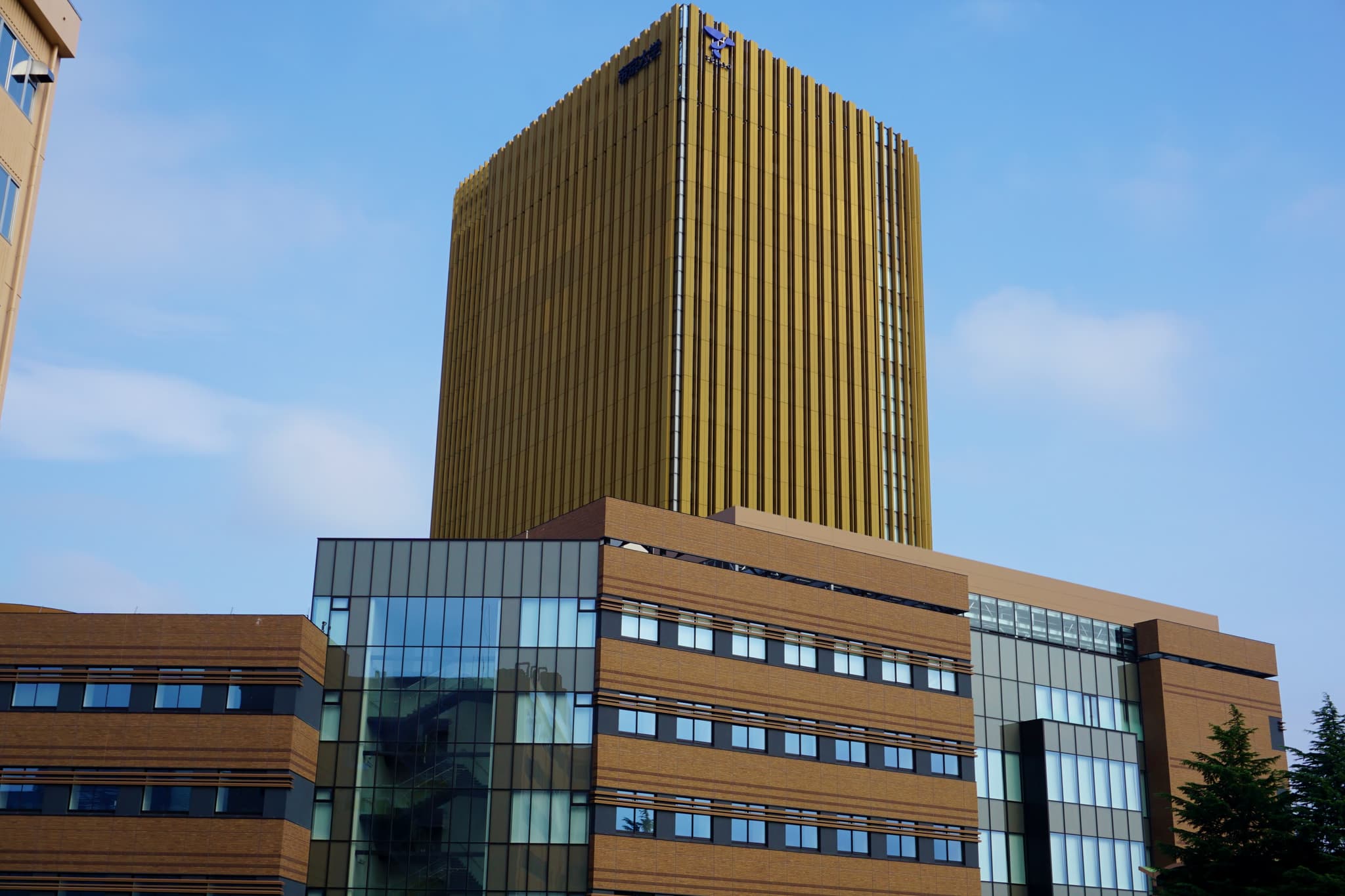 Teikyo University in Hachioji: Assessing Student Rentals Around Otsuka
